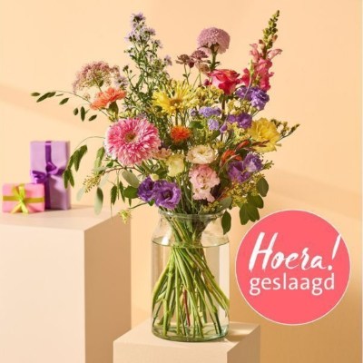 Hoera geslaagd